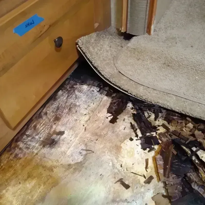 Wood Floor Water Damage in Cedar Hill, MO